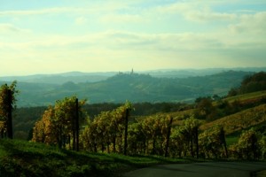 rosenberg-121-