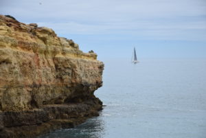 DSC_0061
