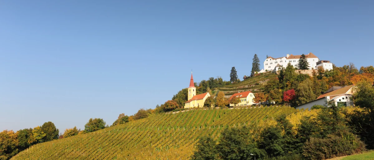 Permalink auf:E3 Yoga und Genuss auf Schloss Kapfenstein